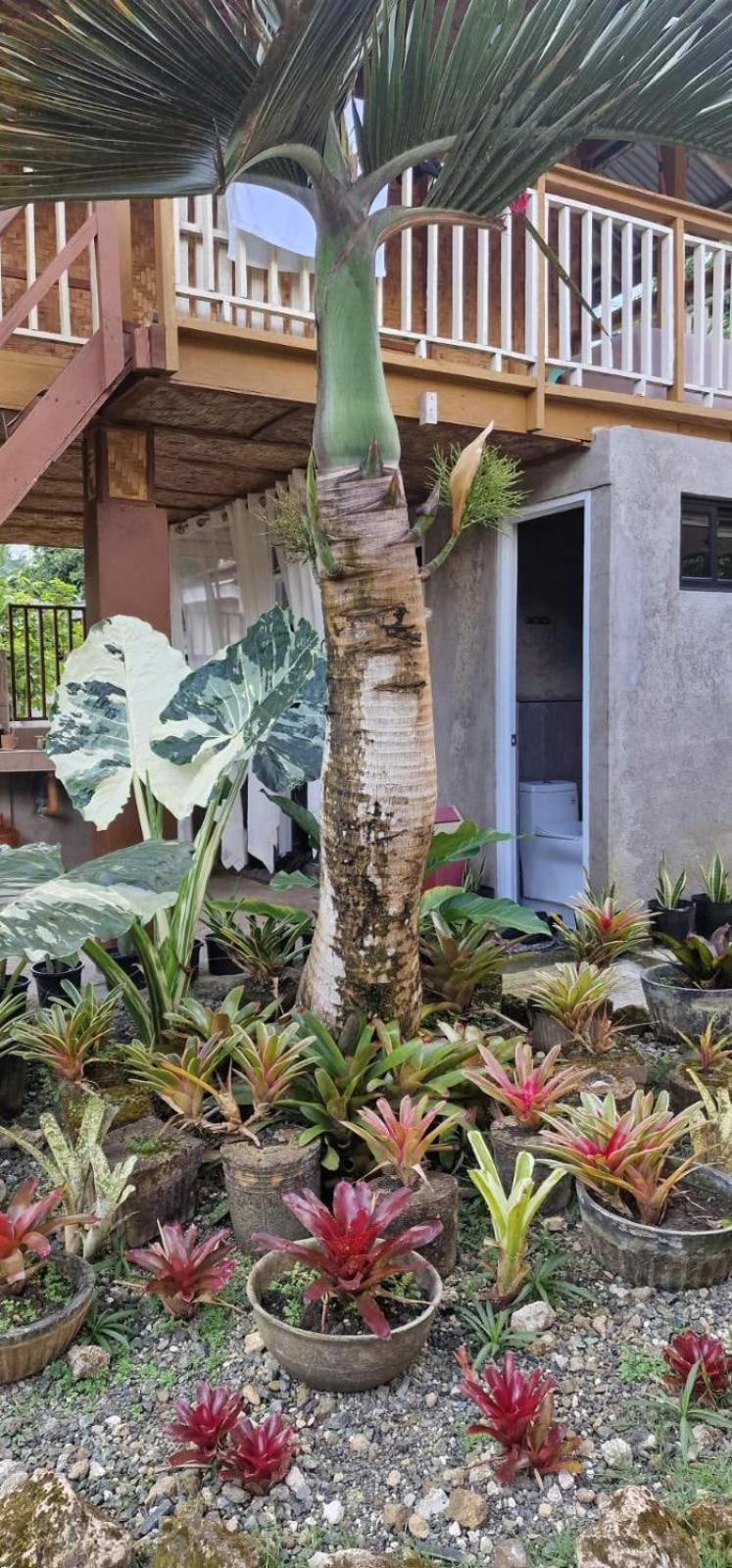 Khloe Serenity Guest House Batuan Dış mekan fotoğraf